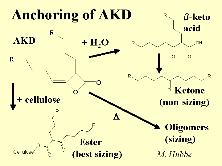 Keo hoạt tính AKD 