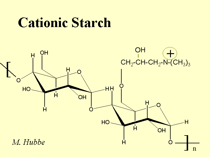 Tinh bột cationic 